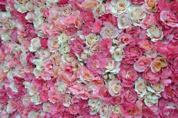 цветочная стена