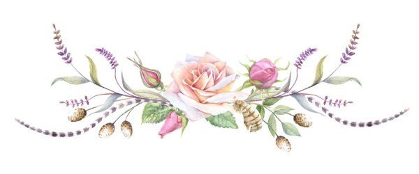 веточка цветов