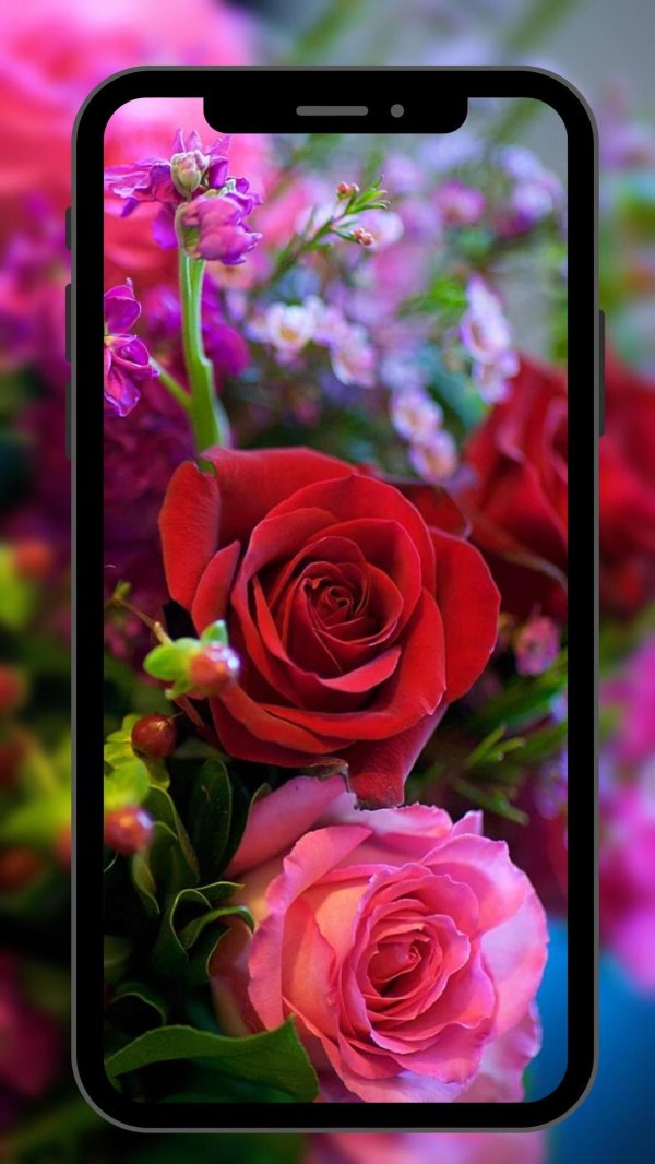 цветок красивый