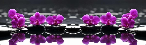 фиолетовая орхидея