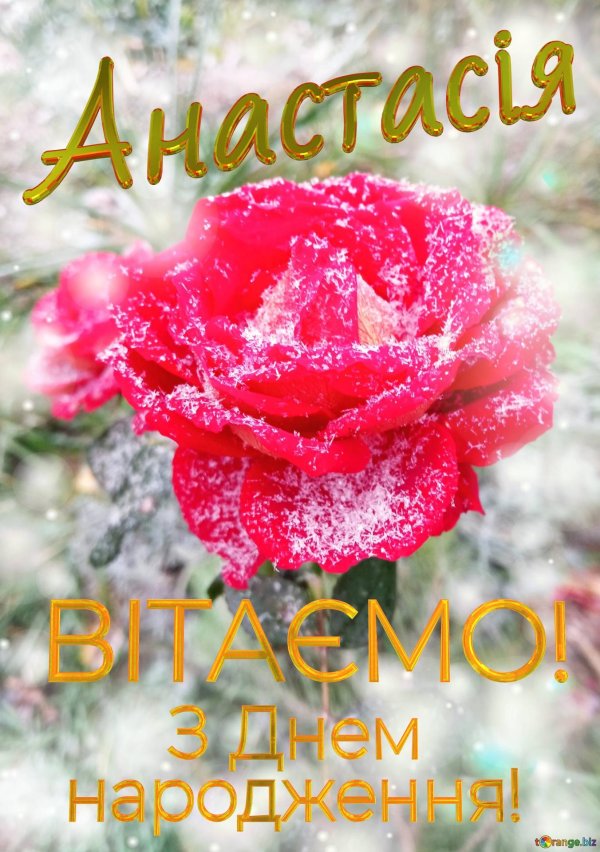 день поздравлений