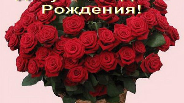 с днем рождения