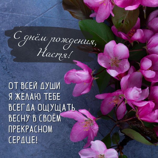 поздравление с днём рождения насте красивые