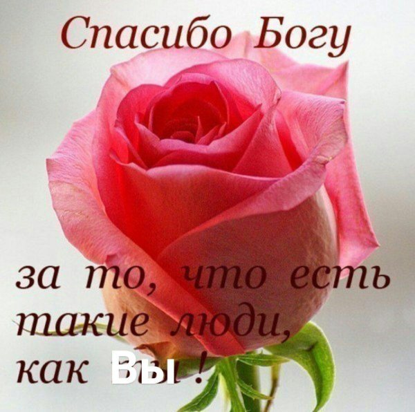 благодарю бога