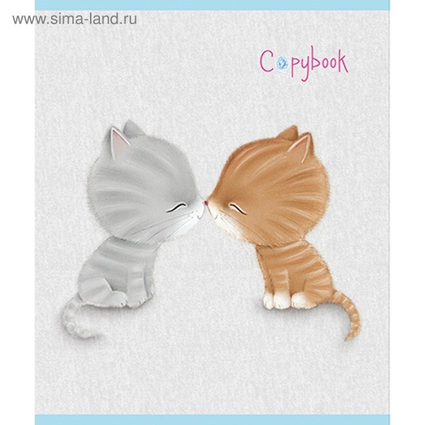 влюбленный котик