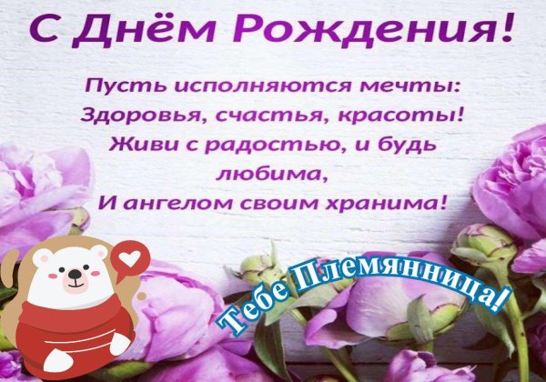 с день рождения племянница