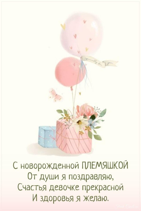 с рождением племяшки