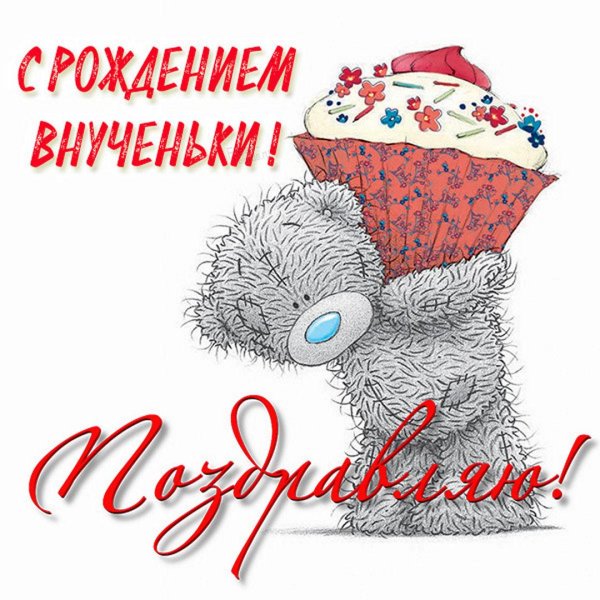 мишка тедди