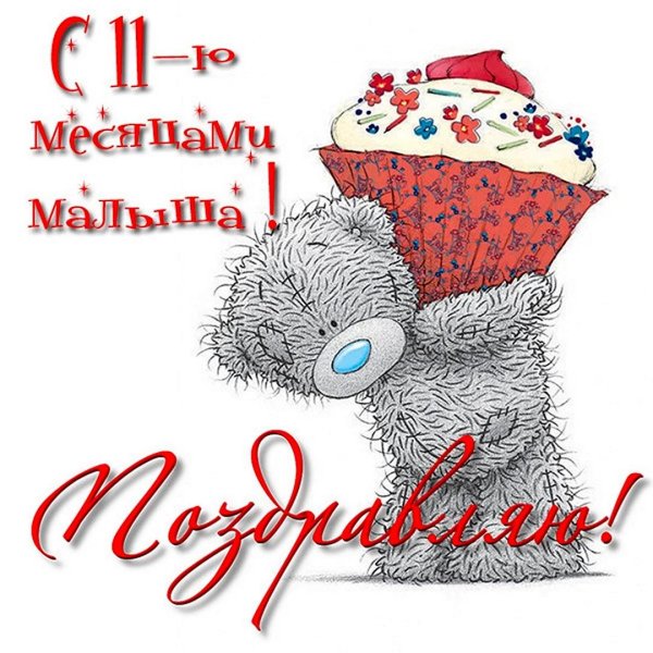 мишка тедди