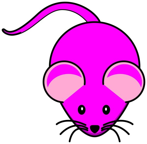 разноцветные мышки