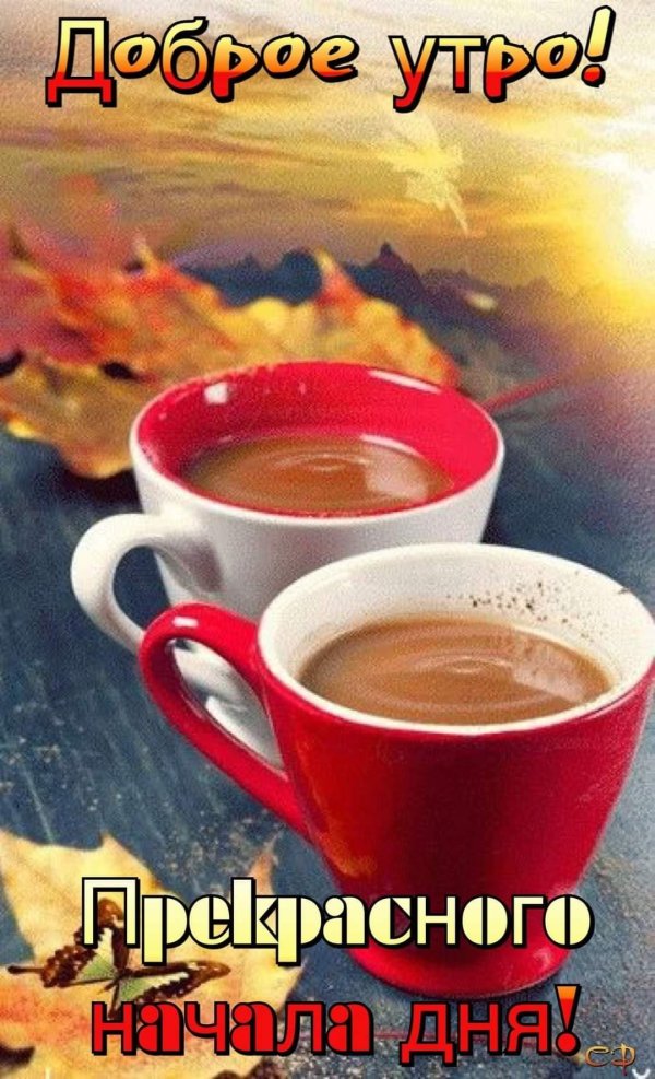 добрейшего осеннего утра