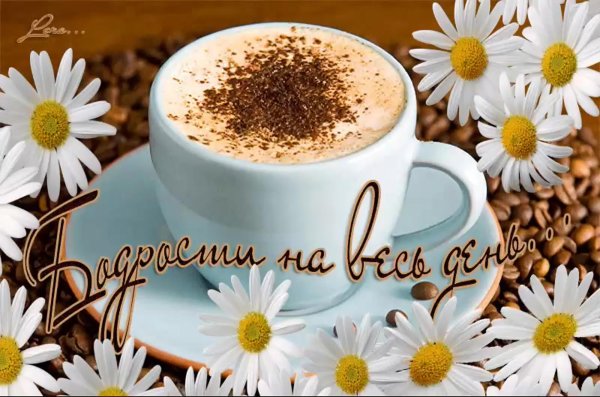 с добрым утром позитивные пожелания