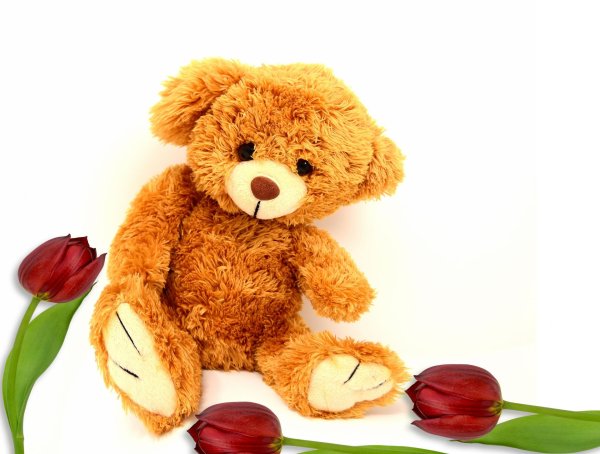 международный день плюшевого мишки