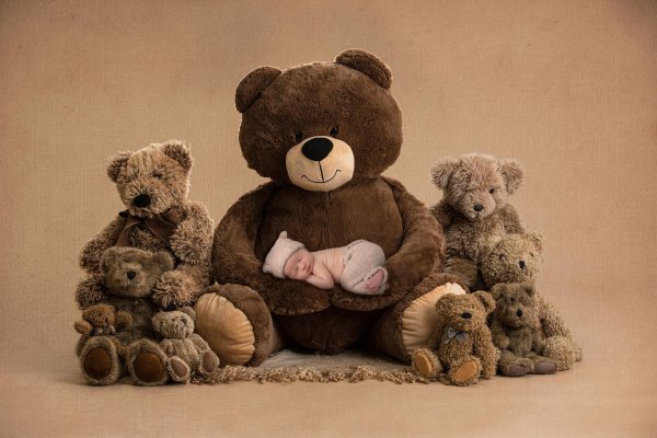 плюшевые медведи