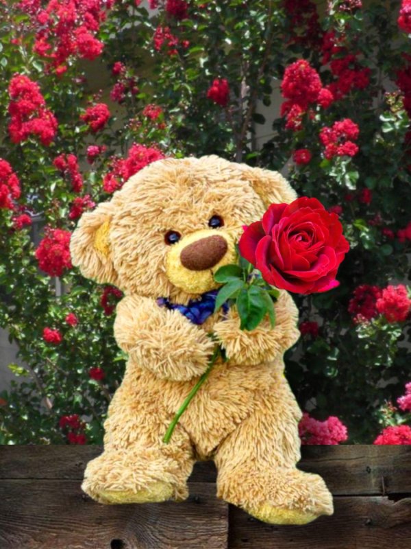 медвежонок плюшевый