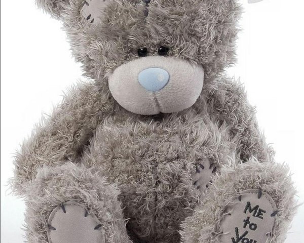 мишка тедди