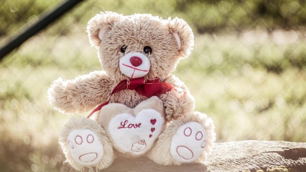 красивые мишки