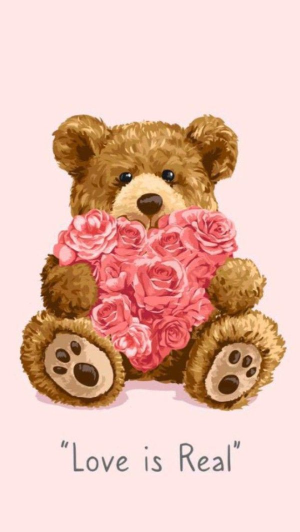 плюшевые медведи