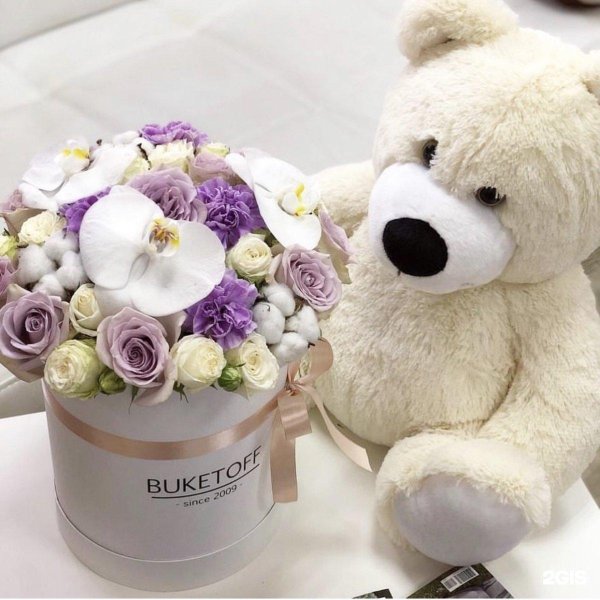 плюшевая мишка