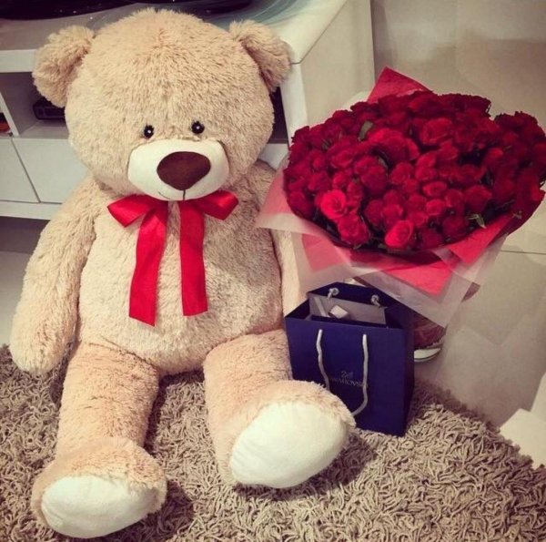 большие мишки