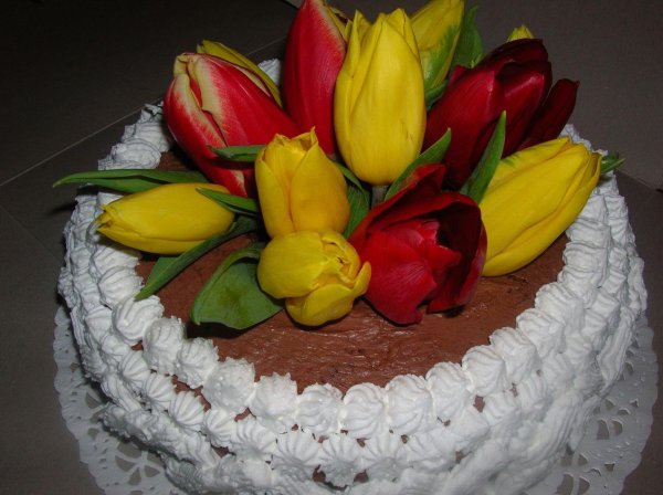 торт с тюльпанами