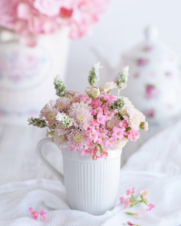 цветок нежный