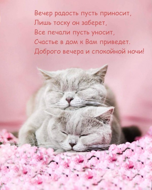 спокойной ночи доброй