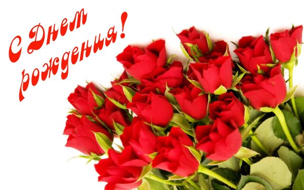 с день рождения женщине красивые