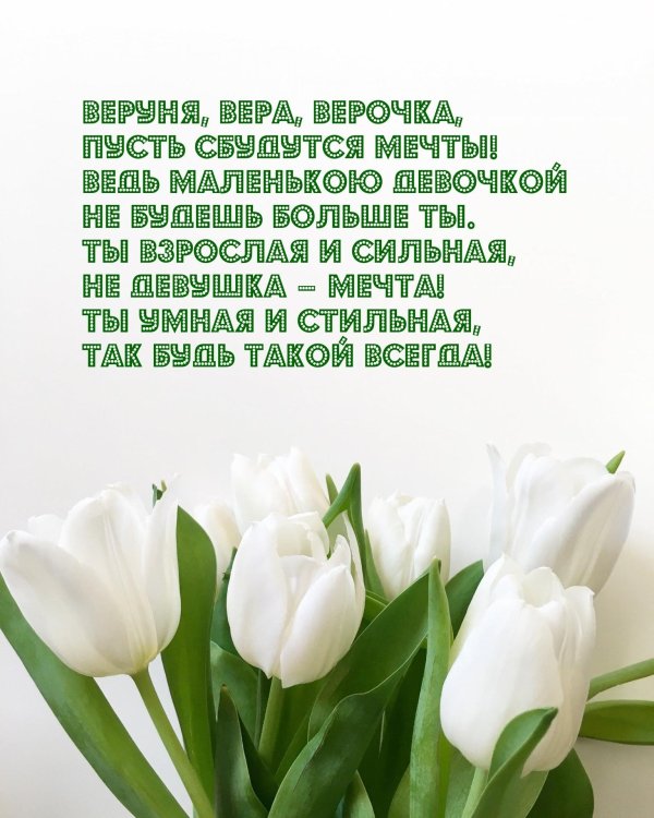 белые тюльпаны