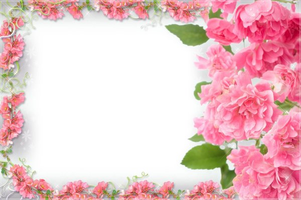 поздравительная открытка