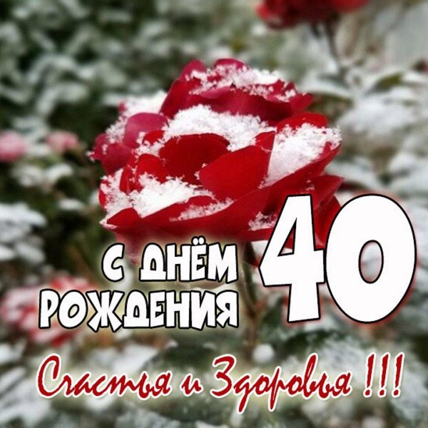 с днем рождения 40 лет