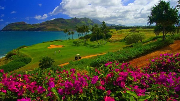 hawaii golf