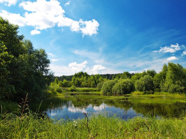 река малая пудица тверская область