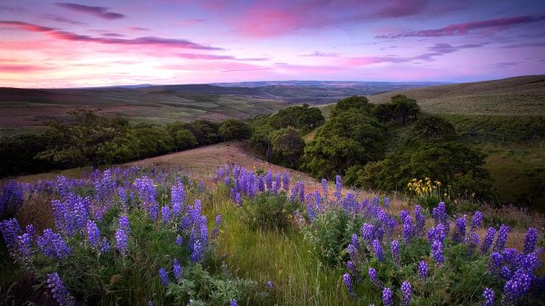 красивейшие пейзажи