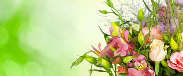 с днем финансиста