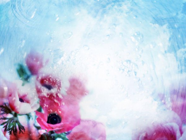 акварельные фоны