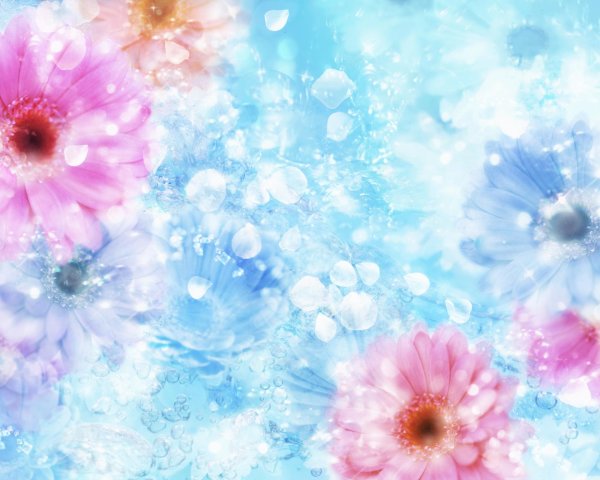 цветочные фоны