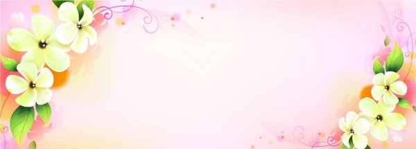 красивый баннер с цветами