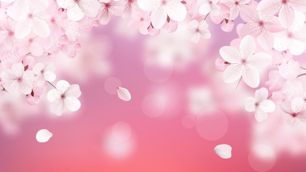 цветы на светлом фоне