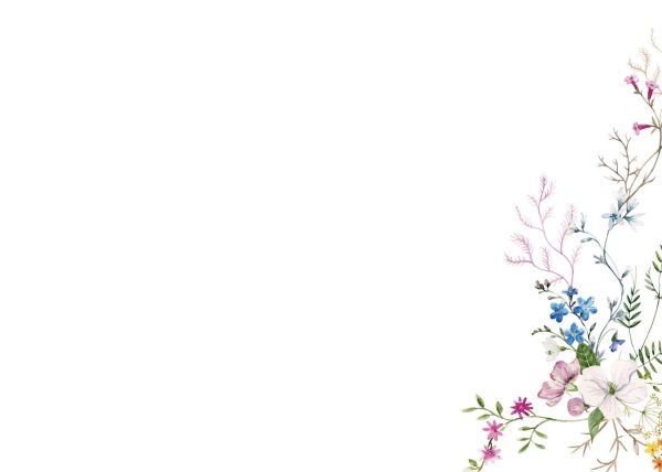 white background simple decorative flowers