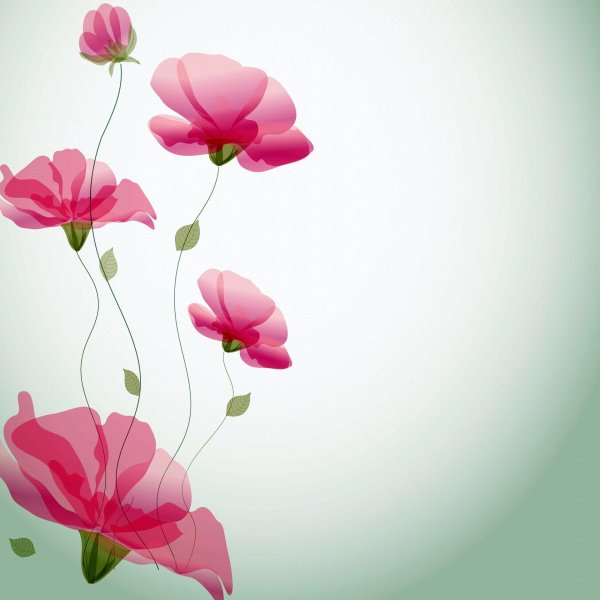 цветок иллюстрация