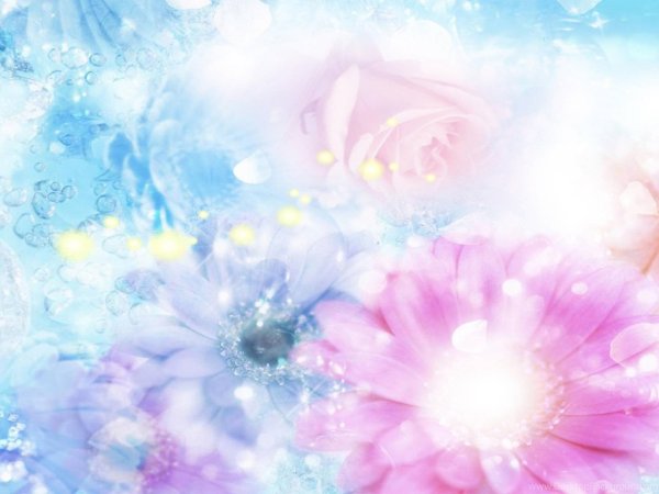 нежные фоны