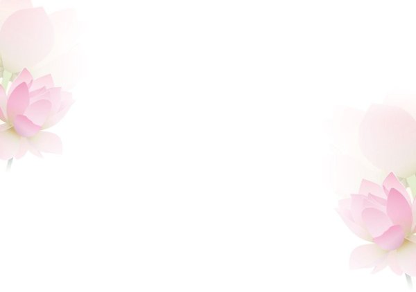 цветки лотоса