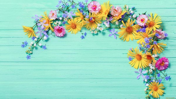 цветы на фоне досок