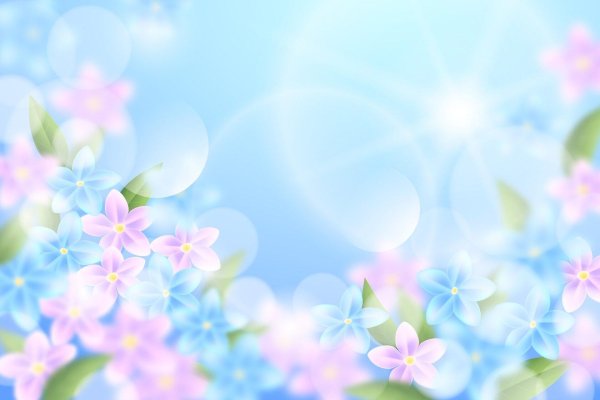 цветочные фоны