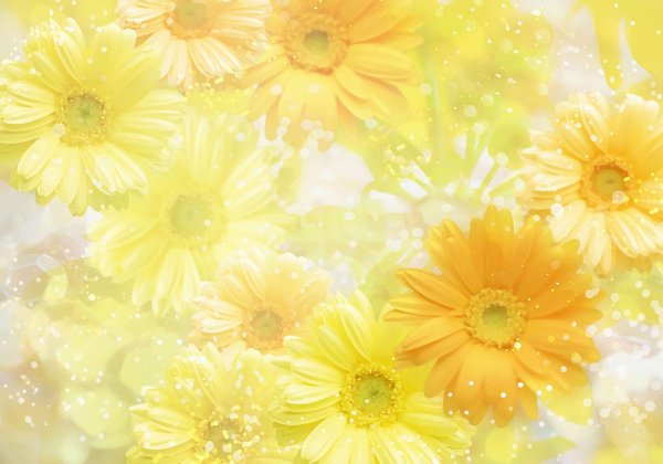 цветочные фоны