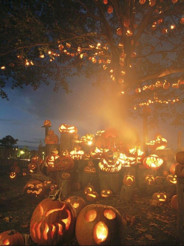 празднование хэллоуина