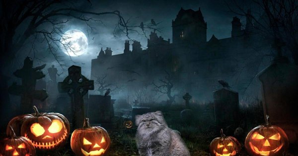 джек о лантерн хэллоуин