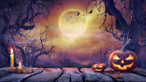 фотообои хэллоуин