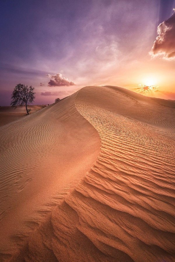 пейзажи пустыни